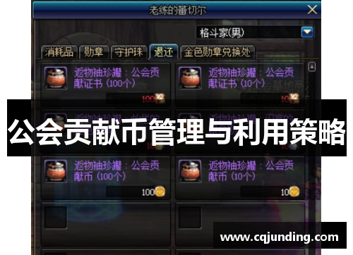 公会贡献币管理与利用策略